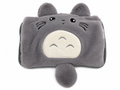 Re-chargeable hot water bottle